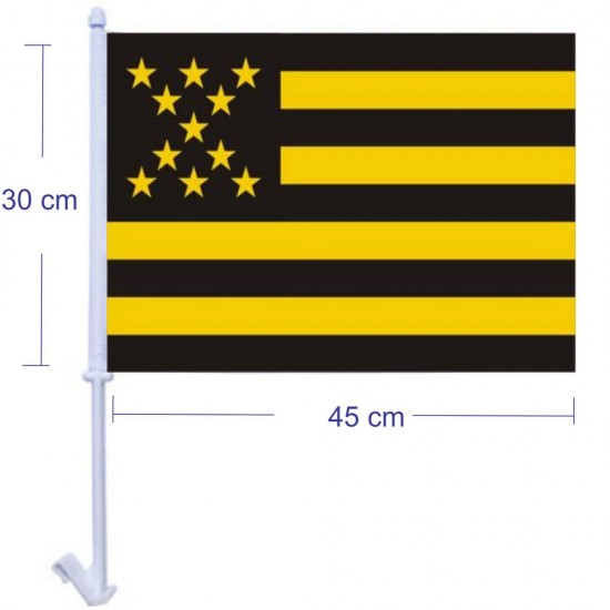 Bandera Auto Peñarol Bandera Auto Peñarol
