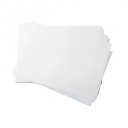 Papel Transfer DTF Otter Pro A3 100H