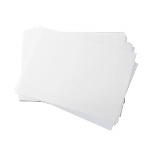 Papel Transfer DTF Otter Pro A3 100H