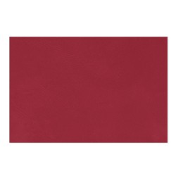 Goma Eva 60x40cm x10u. Rojo