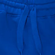 Pantalón Felpa Unisex Azul Francia Niño