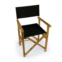 Silla Director Negra Juego x2