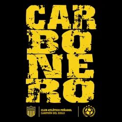 Camiseta Niño Carbonero