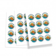 Vinilo Autoad Blanco Mate Inkjet A4x10