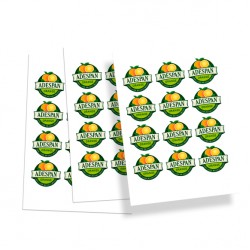 Vinilo Autoadhesivo Blanco Brillo Laser A4x10