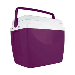 Conservadora MOR 34 litros Berenjena